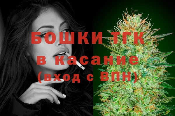 шишки Белоозёрский